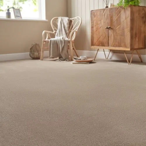 brown and beige carpet​