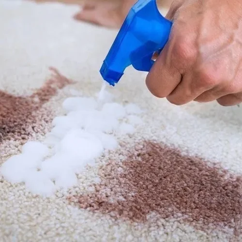 carpet cleaning near me​
