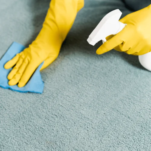 carpet cleaning services​