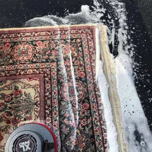 eco carpet cleaning​