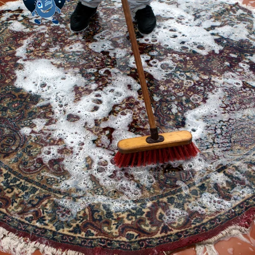 ecology carpet cleaning​