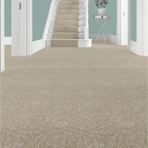 modern beige carpet texture​