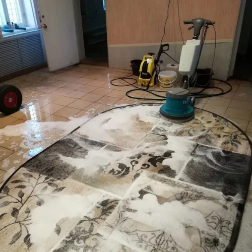 pro carpet cleaning​