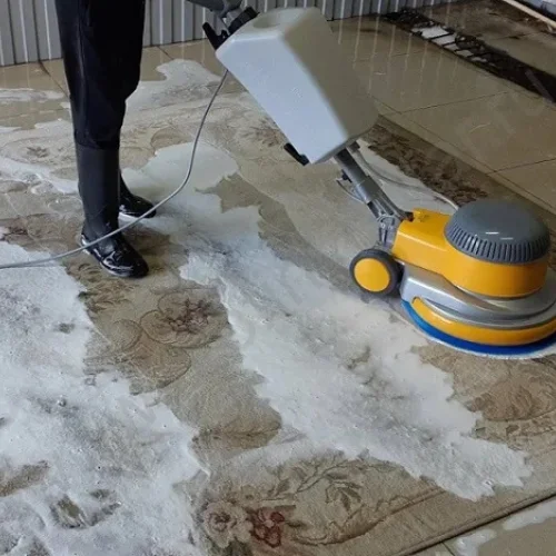 professional carpet cleaning​