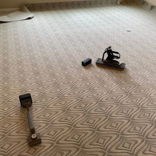 wool mix carpet​