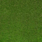 Abbeydale 35mm Artificial Grass