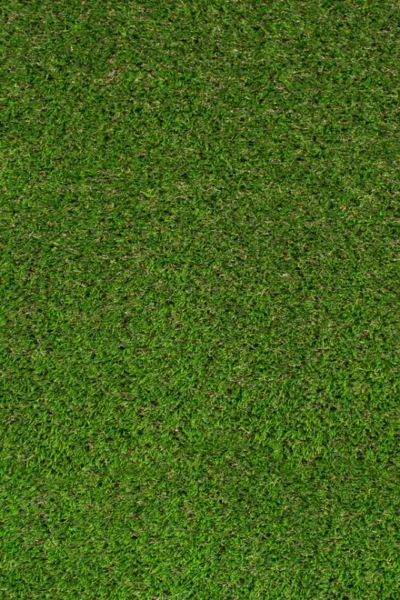 Abbeydale 35mm Artificial Grass