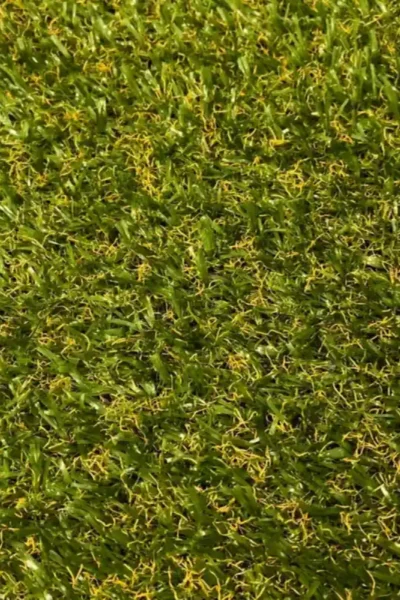 Aberdeen 15mm Artificial Grass image 4