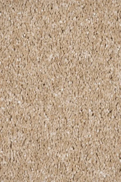 Alhambra Acorn Beige Carpet image 3