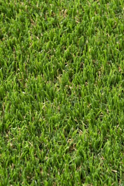 Askham 37mm Artificial Grass image 2