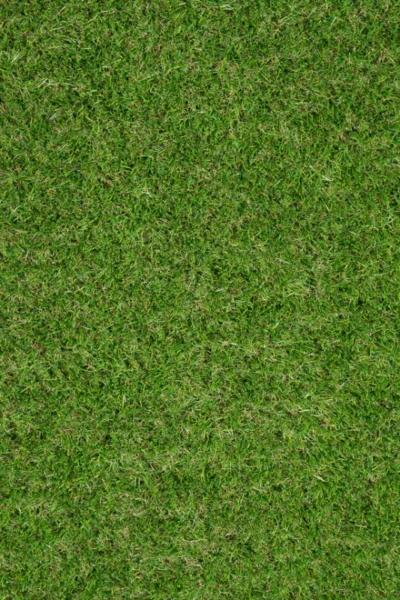 Avebury 37mm Artificial Grass