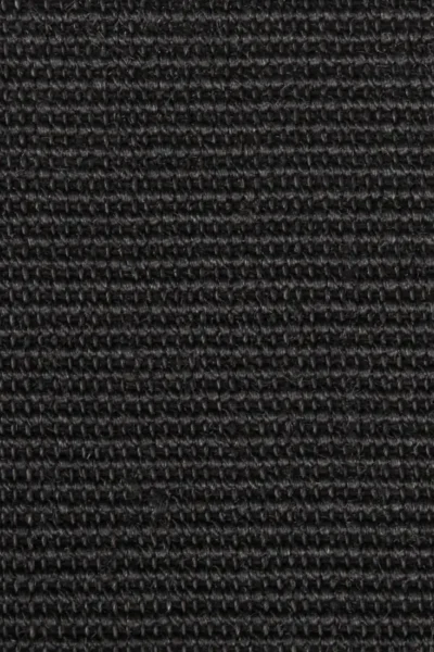 Boucle Accents Black Sisal Carpet