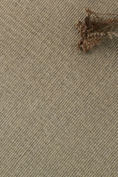 Boucle Stonewall Sisal Carpet