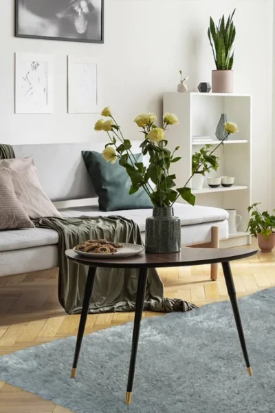 Duck Egg Aurora Supersoft Luxury Rug