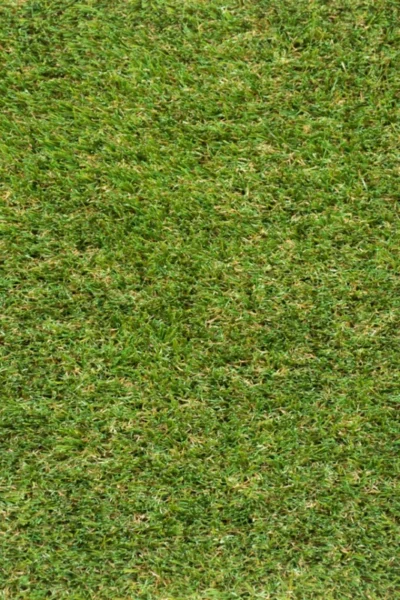 Ellingdale 35mm Artificial Grass