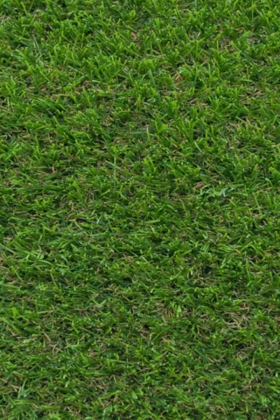Everglade 30mm Artificial Grass