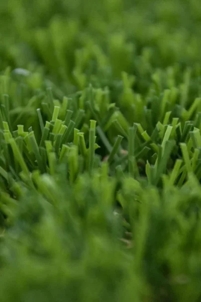Everglade 30mm Artificial Grass image 2