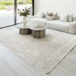 Faded Traditional Rug img 4