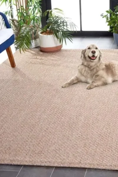 Hammie Patio Backyard img 1