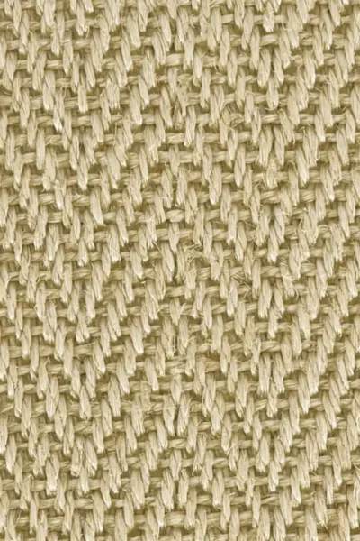 Herringbone Sweet Barley Sisal Carpet image 2