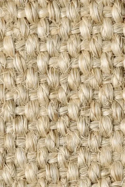 Hopscotch Chalk Sisal Carpet image 3