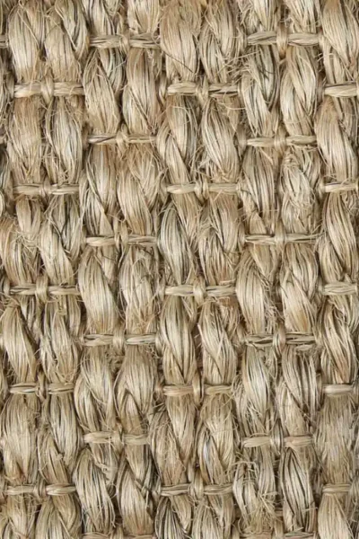 Kayal Chaliyar SiSal Carpet image 3