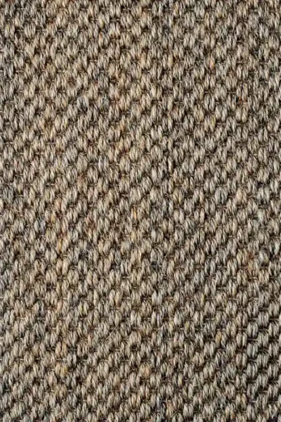 Malay Beijing Sisal Carpet image 3