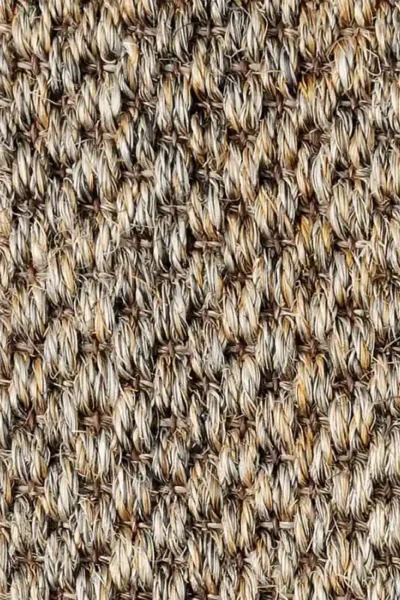 Malay Beijing Sisal Carpet image 4