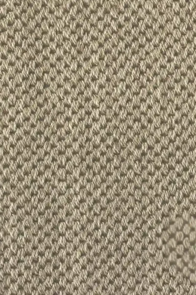 Malay Canton Sisal Carpet image 3