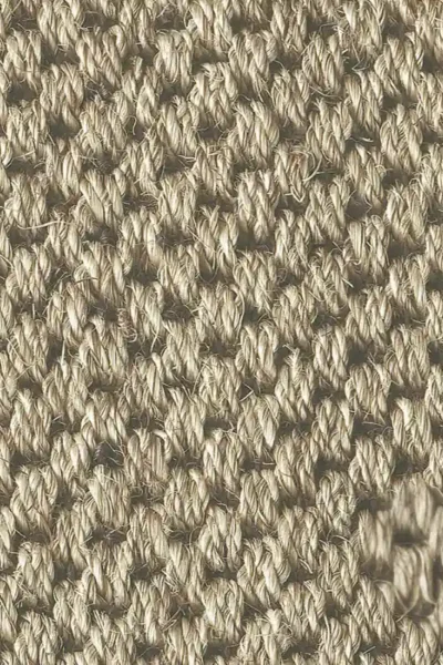 Malay Canton Sisal Carpet image 4