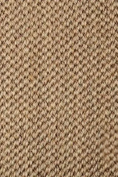 Malay Chen Sisal Carpet image 3