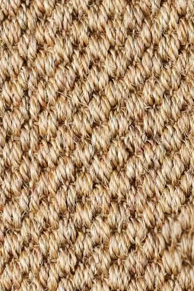 Malay Chen Sisal Carpet image 4