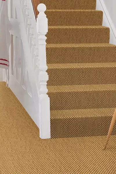 Malay Dragon Sisal Carpet image 2