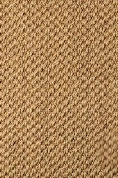 Malay Dragon Sisal Carpet image 3