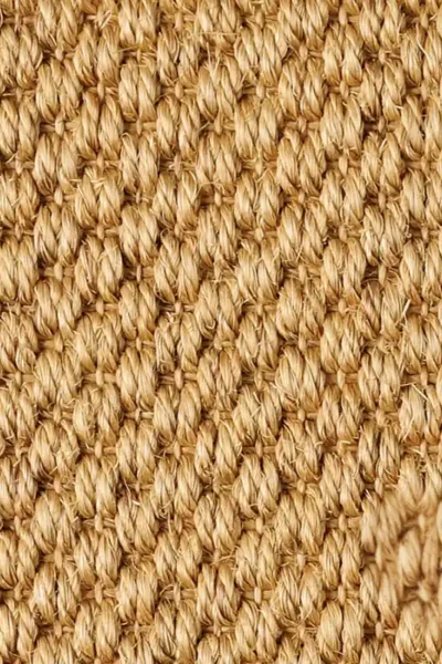 Malay Dragon Sisal Carpet image 4