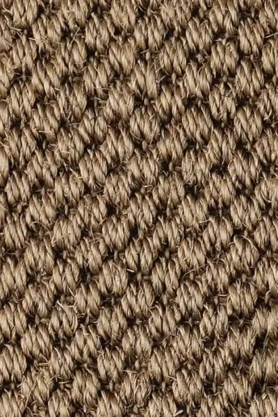 Malay Jin Sisal Carpet image 4