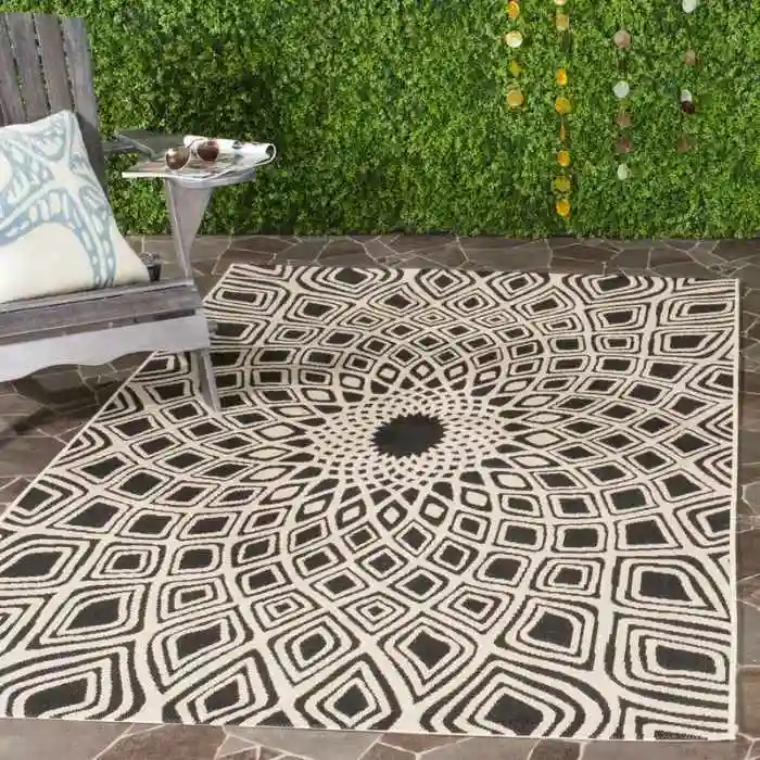 Marylyn Courtyard Outdoor Rug img 1