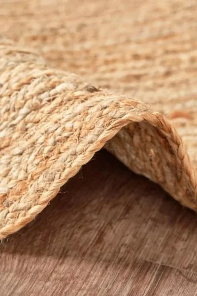 Nature Swirl Jute Rug img 1