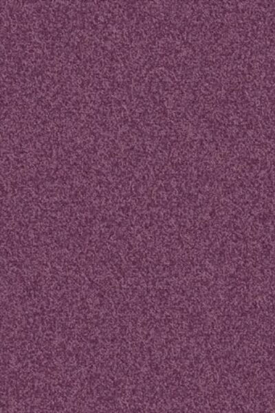 Plum Purple Texture Carpet image 2