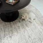 Pottery Style Round Carpet img 1