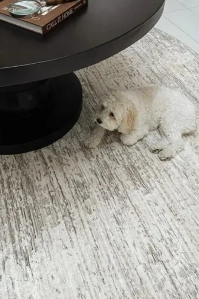 Pottery Style Round Carpet img 1