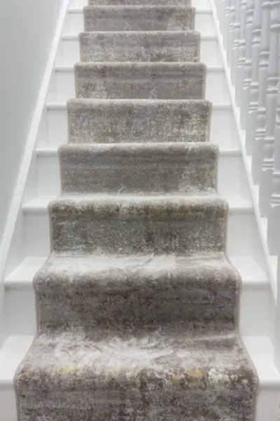 Pumice Shell Stair Runner