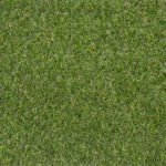 Rawcliffe 17mm Artificial Grass