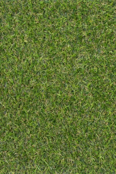Rawcliffe 17mm Artificial Grass