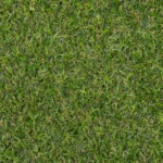 Rawcliffe 17mm Artificial Grass image 2