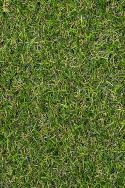 Rawcliffe 17mm Artificial Grass image 2