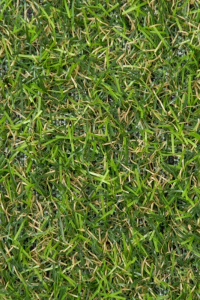 Rawcliffe 17mm Artificial Grass image 3