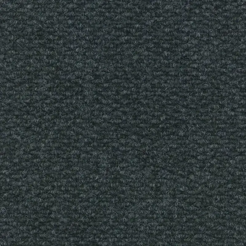 Rawson Carpet Champion Anthracite