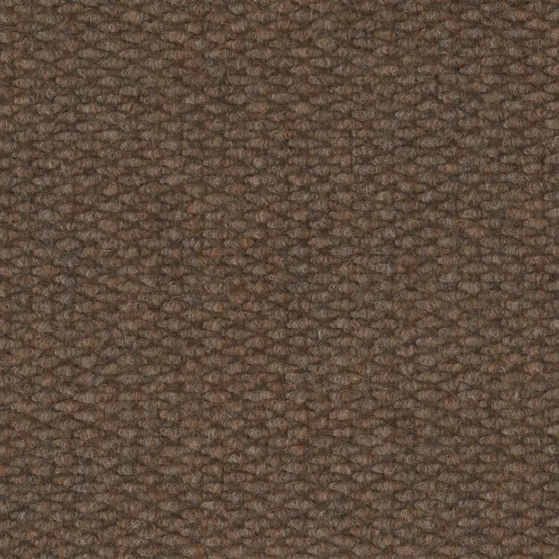Rawson Carpet Champion Cashmere