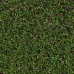 Shenwich 30mm Artificial Grass